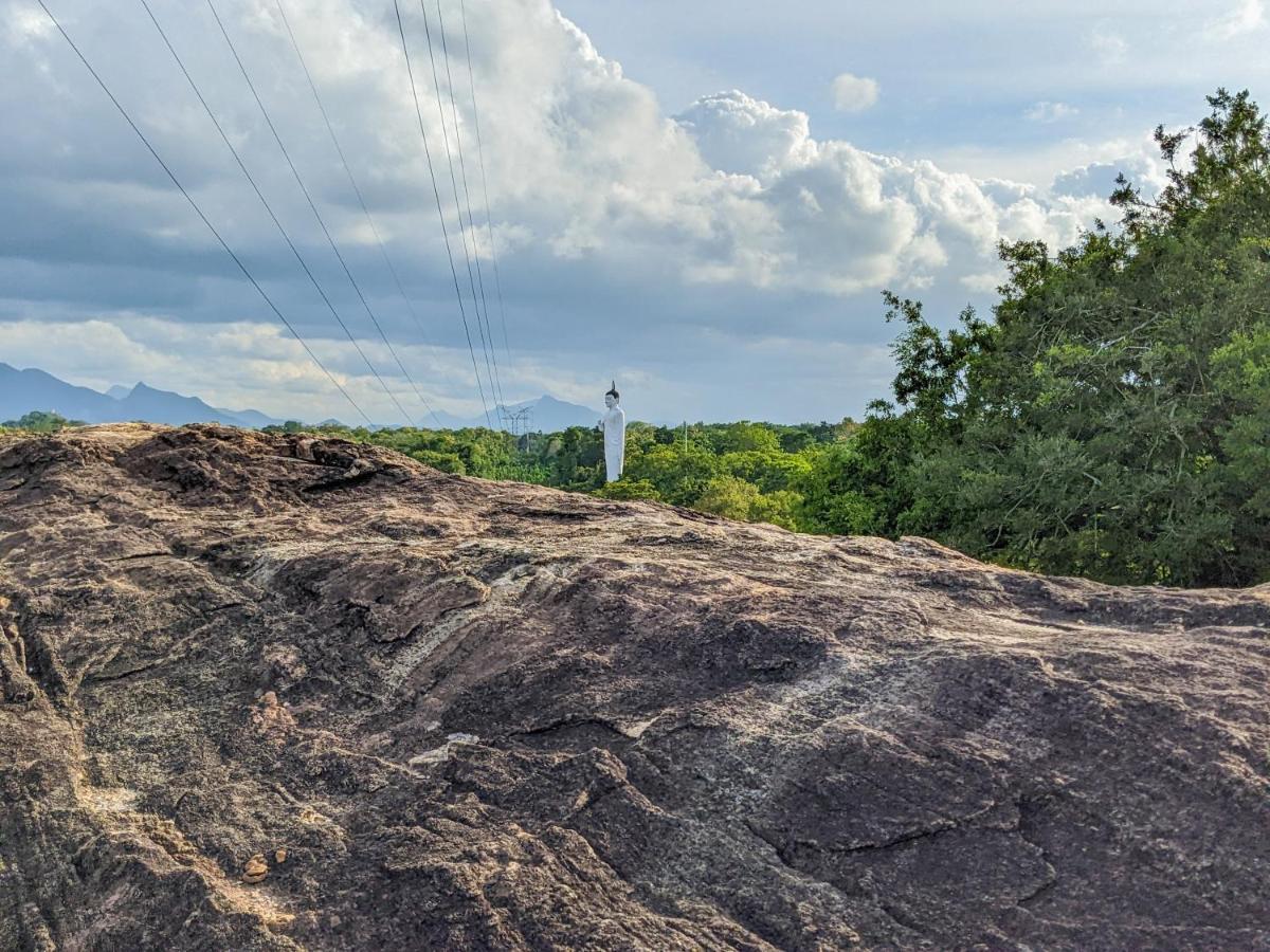 Sigiri Choona Lodge 'Unique Sunrise Viewpoint' Sigiriya Bagian luar foto